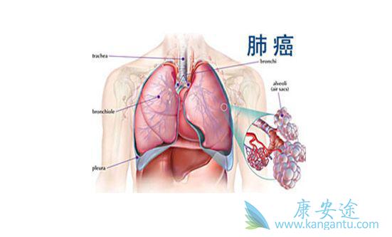 Ԥ���ΰ�����