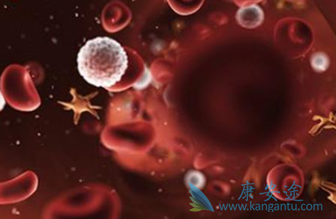 ������ͪ