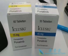 ��������Ѫ������ҩ����������(ponatinib)��ǰ�����Ĳ�����ģ�