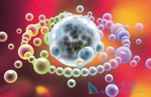 ��ƥ����