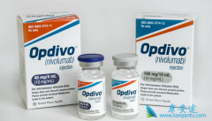 PD-1���Ƽ��������ȵ�����Opdivo��ʹ�ù������Ƿ���ҪPD-L1���