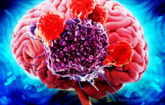 ���ƺ������Ī��(Temoside)���ƿɳ�Ϊ����Խ���������������ѡ��