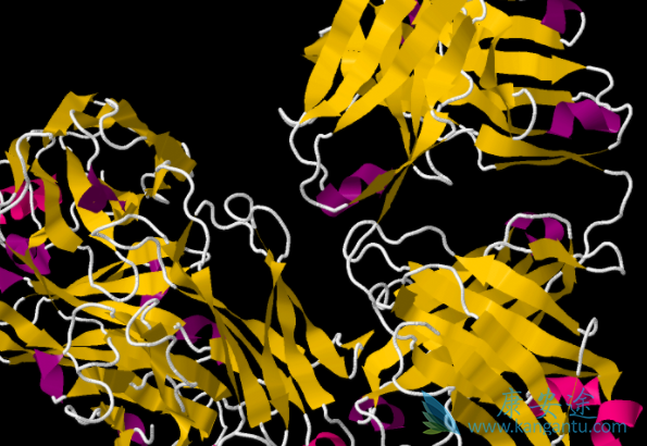 利妥昔单抗 利妥昔单抗