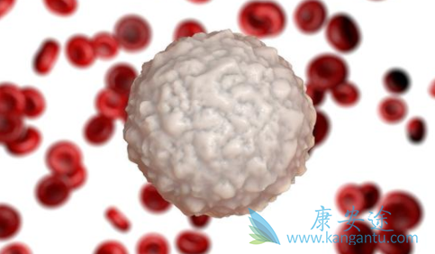 依鲁替尼 依鲁替尼