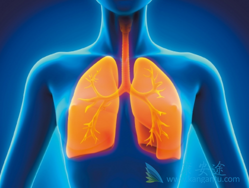 ��ķ����