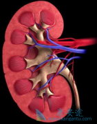 �����쵥��(Atezolizumab)+��������һ����������PFS�걬��������