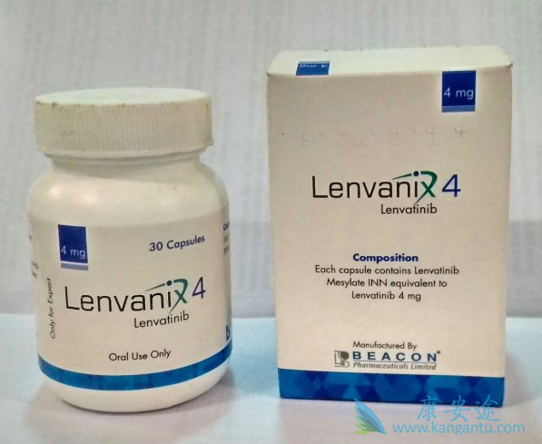 �ַ�����