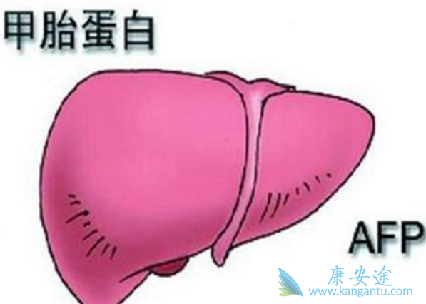 ��̥����