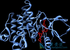 ��������(ICLUSIG)�������ϸ����ֲCML���߸�ѡ�ĸ�