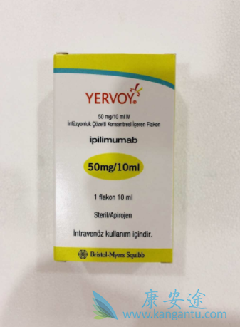 ��ƥ����