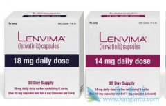 ���°���ҩ�ַ�����(Lenvima)�����ڸΰ�����ϣ��