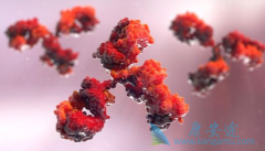 ���鸾Ů��ʹ����ƥľ����(Yervoy)ʱӦֹͣ����