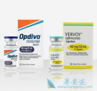 CLTA-4����Yervoy��PD-1����Opdivo������ҩ�ڶ����֢���Ʊ��ֲ���