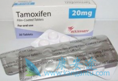 ��Ī����(Nolvadex)/ŵ�ߵ�ʿ��Ч������ҩ��ȫ��