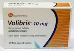 ������ʷ���з��İ�����̹Ƭ(Volibris)����������ʲô�ģ�