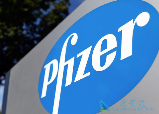 PARP抑制剂 PARP抑制剂