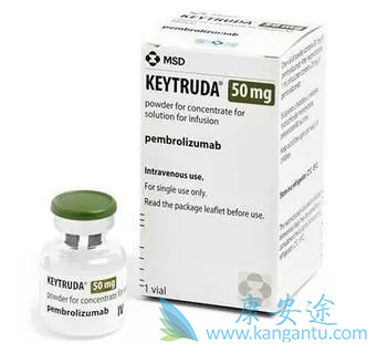 ��ķ����