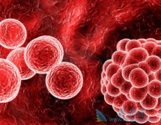 ������������/������ҩ����Ҫԭ����ʲô