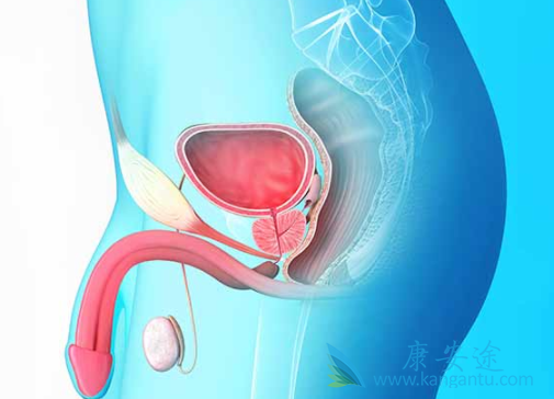 安杂鲁胺 安杂鲁胺