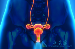 ��������(niraparib)�����ѳ��������ô���