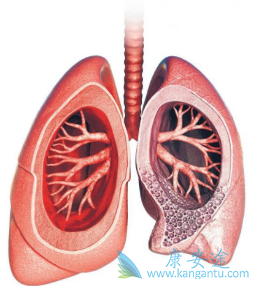 ������ͪ