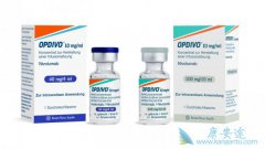 ȫ���׸�PD-1���Ƽ�Opdivo��ŷ���֣�����α����ֵģ�