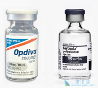 PD-1����Oҩ��Kҩ����ʳ�ܰ���Ч����ô����