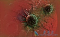 ��֢���߳��ְ�֢ת��֮���������Ŀ�����