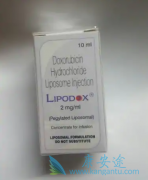 ����������ϲ��໯�������ѳ������ߵ�Ч��