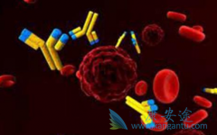 PD-1���Ƽ���PD-L1���Ƽ������û��ƵĲ���