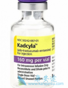 T-DM1��Һ�ڼ仼�߿��ܻ������Щ������Ӧ