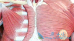 ��³��(Riluzole)�Ի��ߵ��˶����ܺ�֢״������������