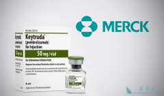 Ŀǰȫ�������PD-����ҩ�����ļ���������PD-1���Ƽ��о���չ��