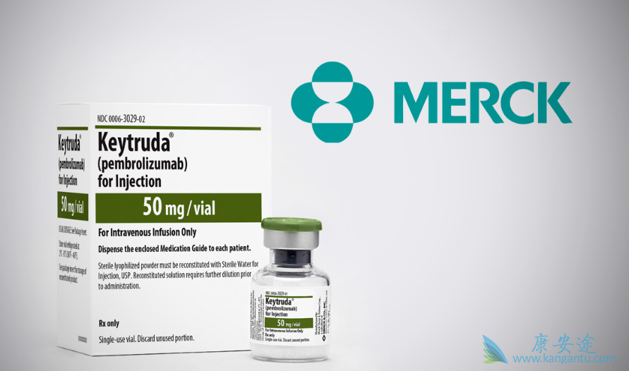 PD-1抗体 PD-1抗体