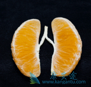 布加替尼 布加替尼