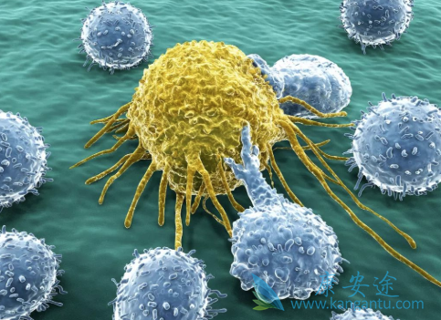 ����΢����