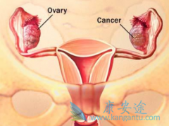 ���ư�֢�ѳ�������Խ����������Խ��