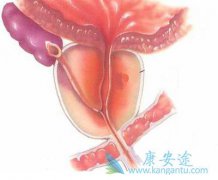 ����˫�ҵĿ��������ö԰��װ�����Ҳ����Ч��