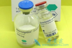 ����͡(Heceptin)���ƽ�չ�����ٰ����߻��ܼ���ʹ����