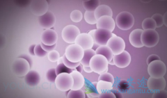 ��������(bevacizumab)���ϻ��ƿɴ����ٻ��߼�����չ����