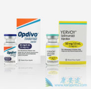 ��ƥ�����ĳɹ���PD-1������з����л�������