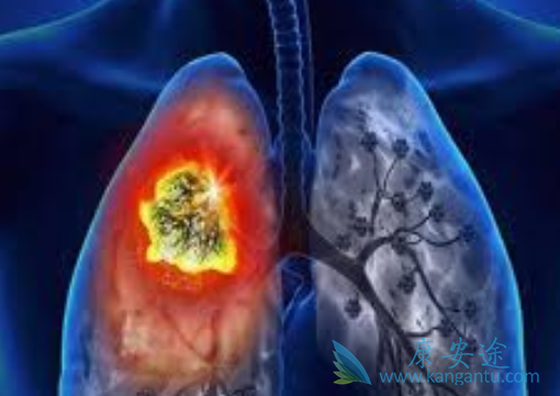 ɫ������