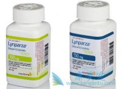 ǳ����������(Olaparib)�����û�����������