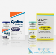 PD-1���Ƽ���CTLA-4���Ƽ�������ҩ�Ƿ���������Ч��