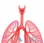 ��ķ����������ɼ����������߷ΰ����ߵ�������