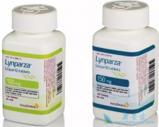 �ѳ�������Ŀǰ���ƿ�������ѡ��PARP���Ƽ���������