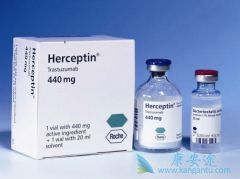 ��HER2����ҩ����Ŀǰ����θ�����Ƶ���ѡ����֮һ