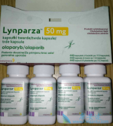 �ѳ������ڳ�PARP���Ƽ��������ỹ���ӳ���������