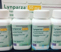 PARP���Ƽ��ĳ��ָı����ѳ������ߵ�����ѡ��