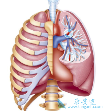 �ζ�����ѹ����